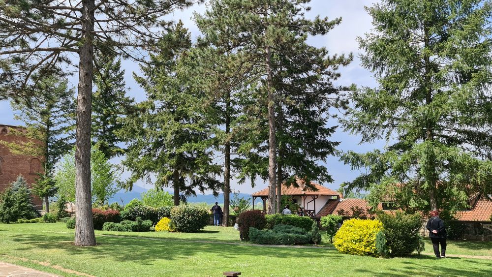 Kad se kaže vitamin “N” misli se na esencijalnu povezanost čoveka sa prirodom; Foto: Na moj način/Marija