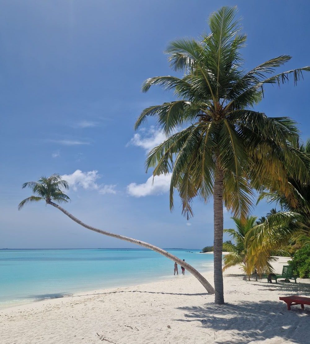 Sejšeli, Mauricijus ili Maldivi? Foto: Marina Kotevski Mandić, privatna rhiva