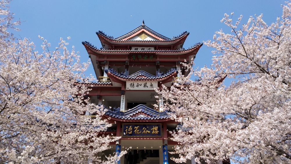 Vuši pokazuje drugačiju, mirniju i gotovo poetsku stranu Kine... Foto: Vladimir Tasić, privatna arhiva