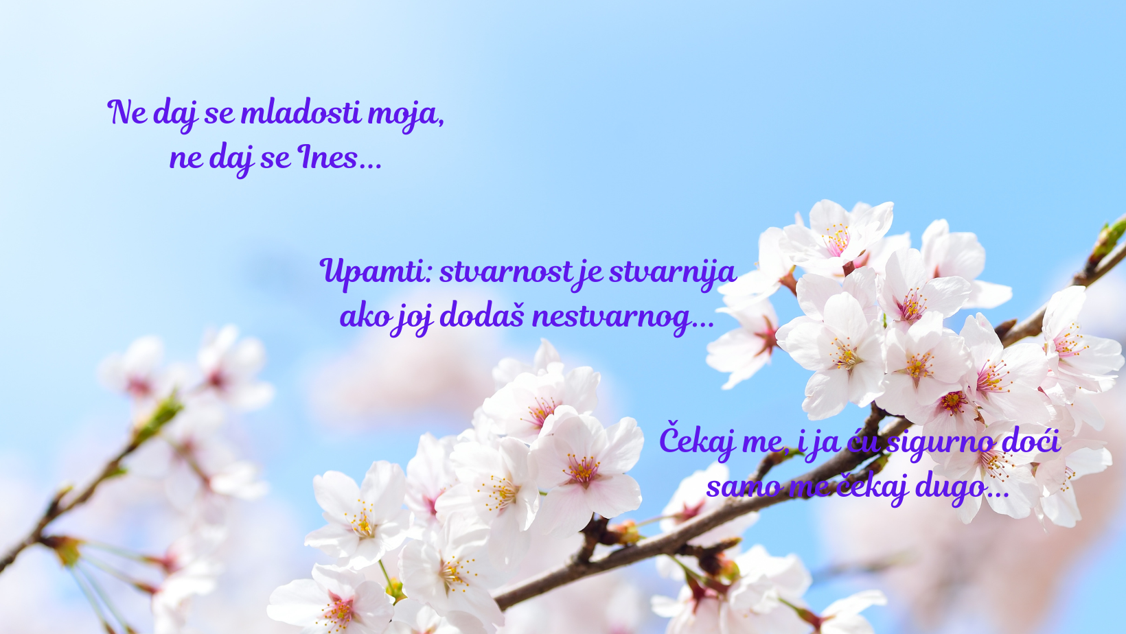 Priče o tri pesme koje su obeležile generacije... Foto: Canva/Marija