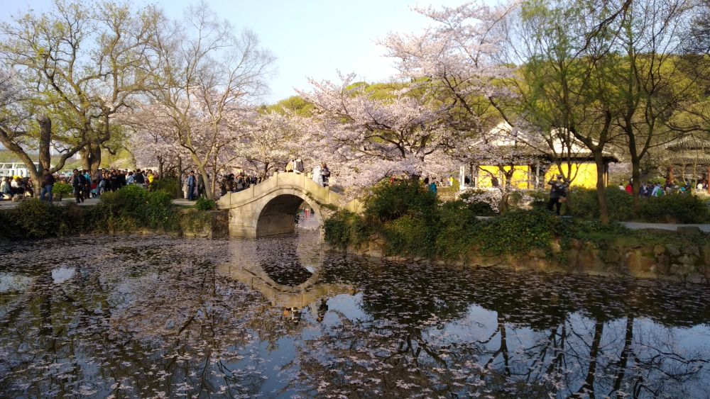 Jinyuan most; Foto: Vladimir Tasić, privatna arhiva