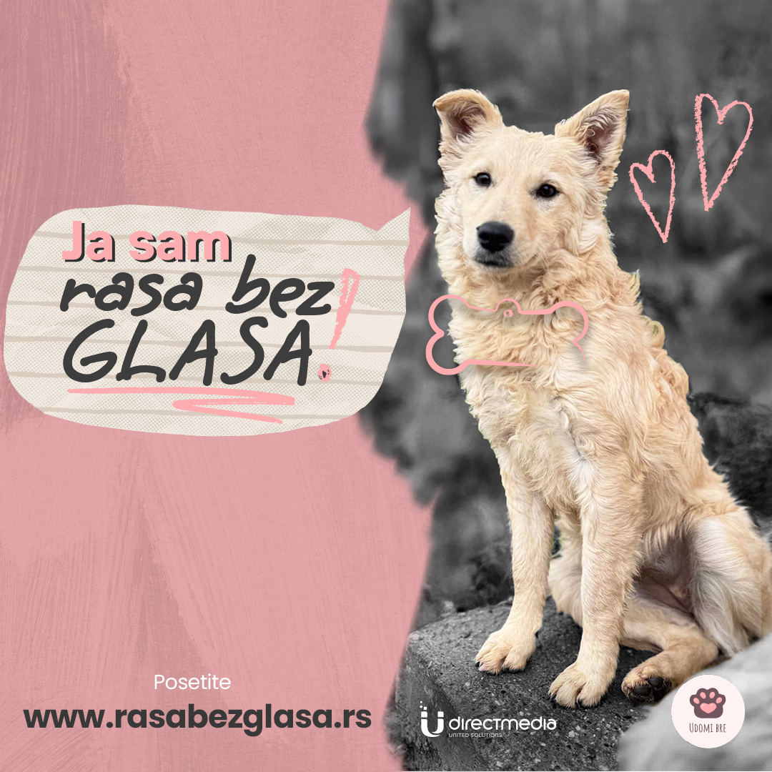 Rasa bez glasa; Foto: Direct Media