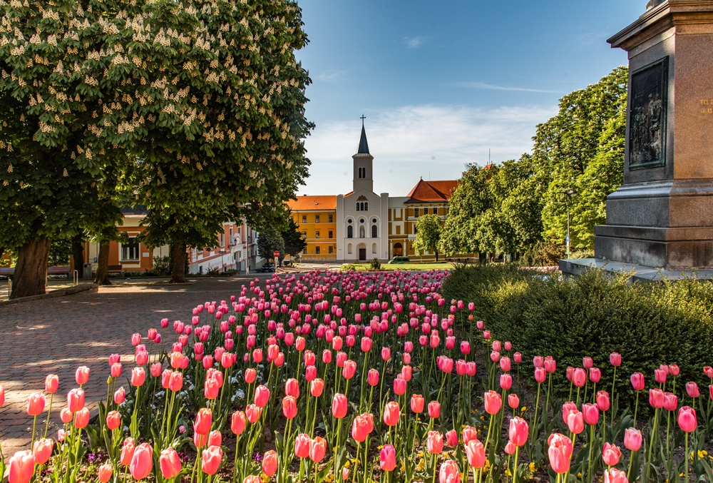 Pečuj - na samom kraju dvadesetog veka dobio je titulu “Grad mira”; Foto: Shutterstock.com/Timmy.Tran photo
