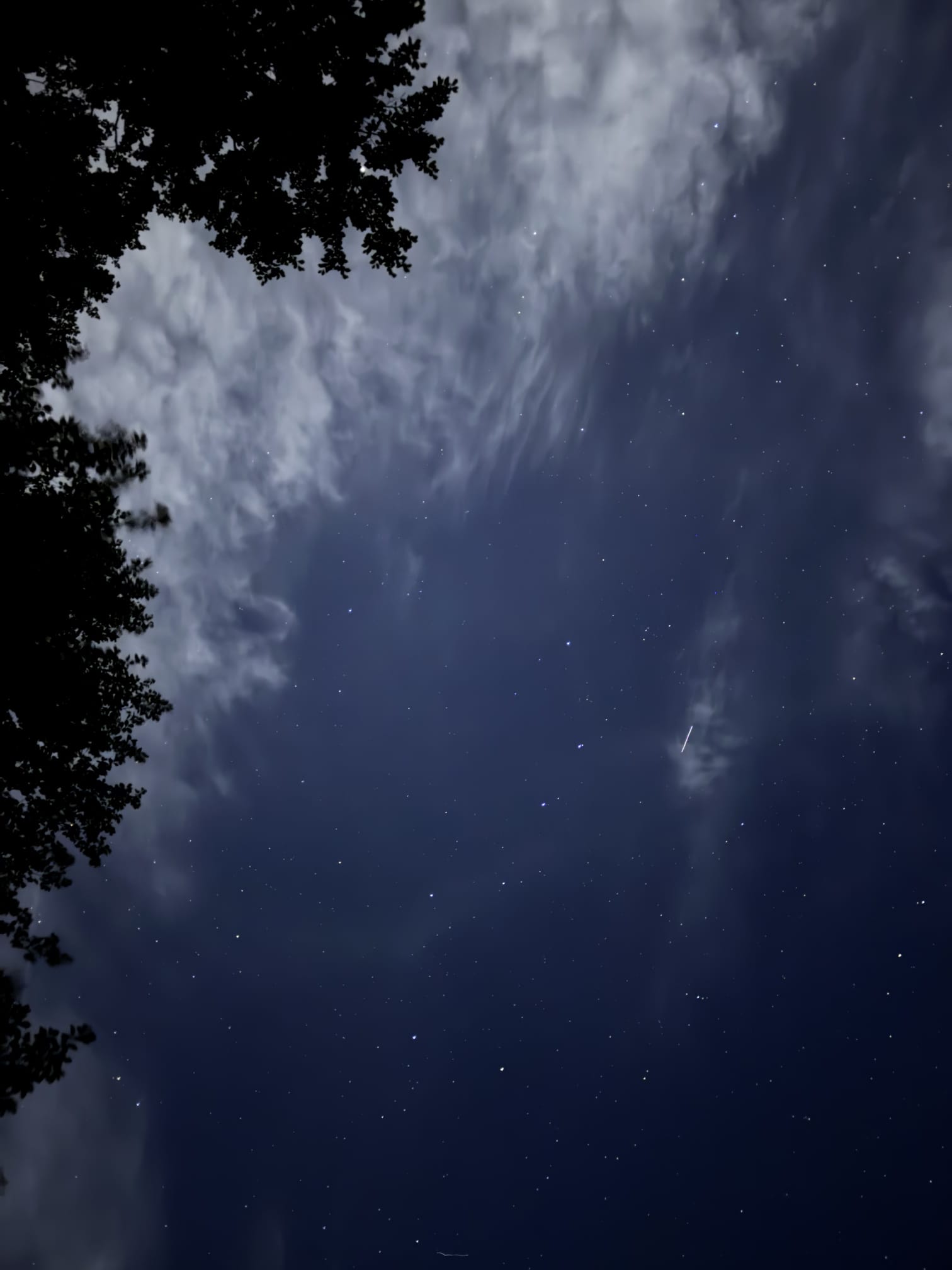 Ovde se jasnije nego na mnogim drugim mestima vidi koliko je nebo veliko... Foto: Dušan Stupar