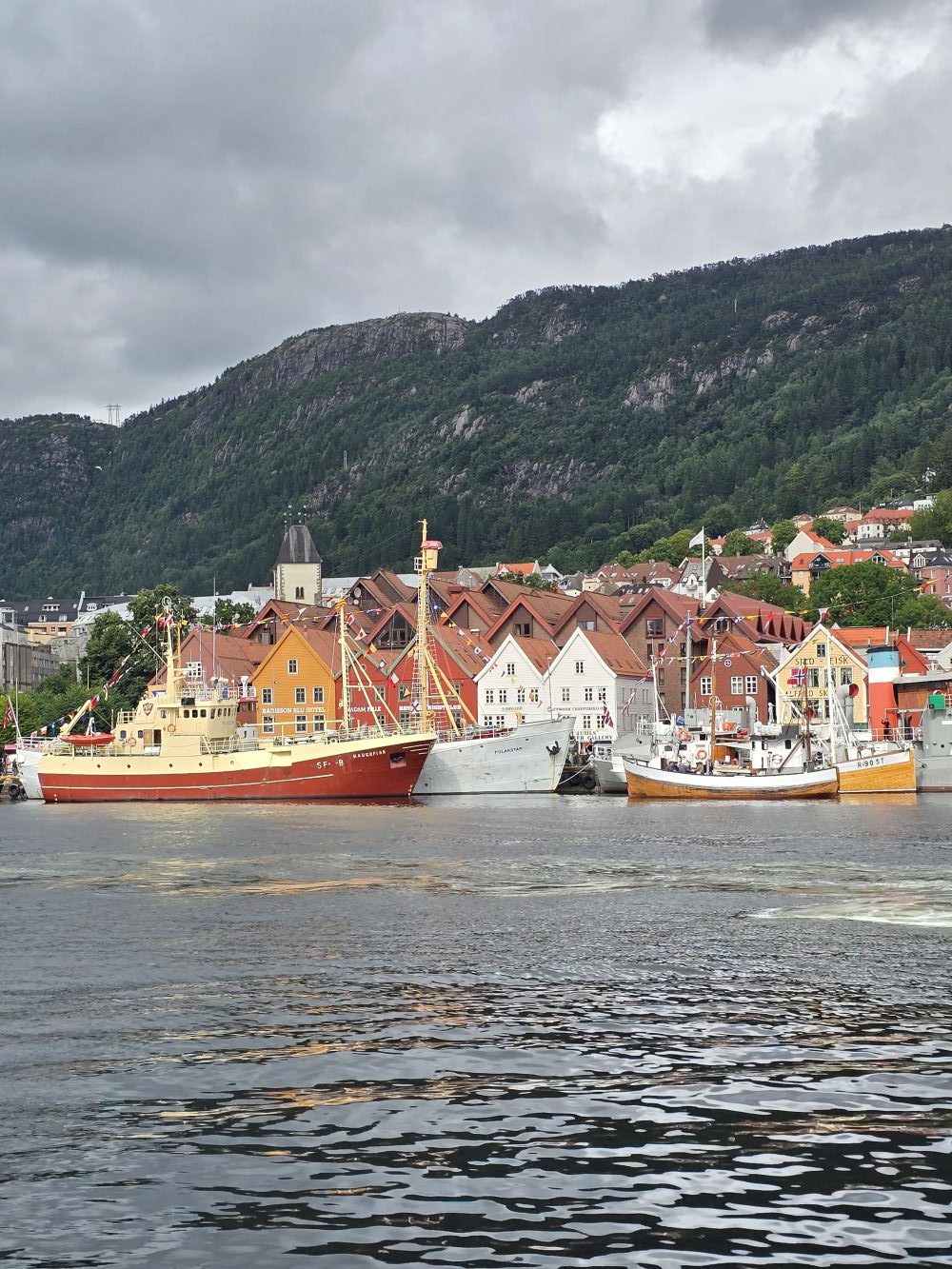 Bergen - grad između kiše i bajke... Foto: Dalibor Bajić, privatna arhiva