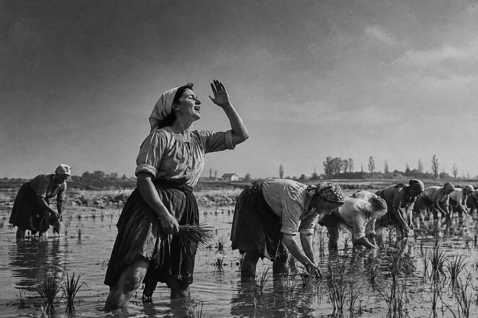 Pesma koja je odolela vremenu i granicama... Foto: Na moj način/AI, ilustracija